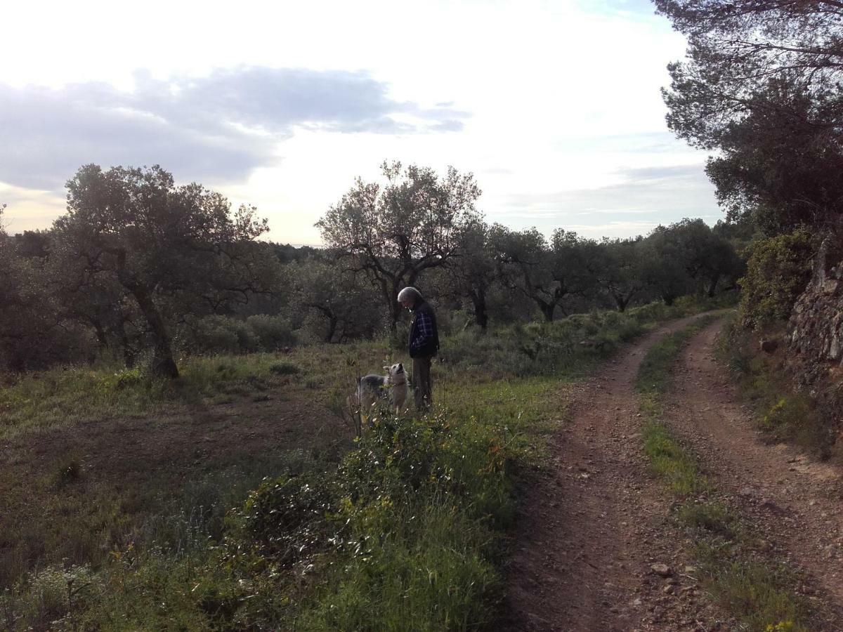 Hostal Ca L'Eli Different Experience Hutt 12157 Mont-Roig del Camp Exterior foto